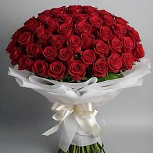Букет 101 Красная роза Блэк Мэджик в Оханске
