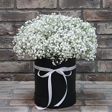 Цветочная композиция из Гипсофила в шляпной коробке в Оханске