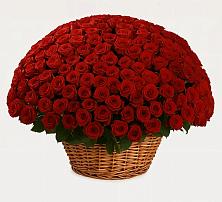 Премиум букет из: Розы #REPLACE_PRED# Оханске